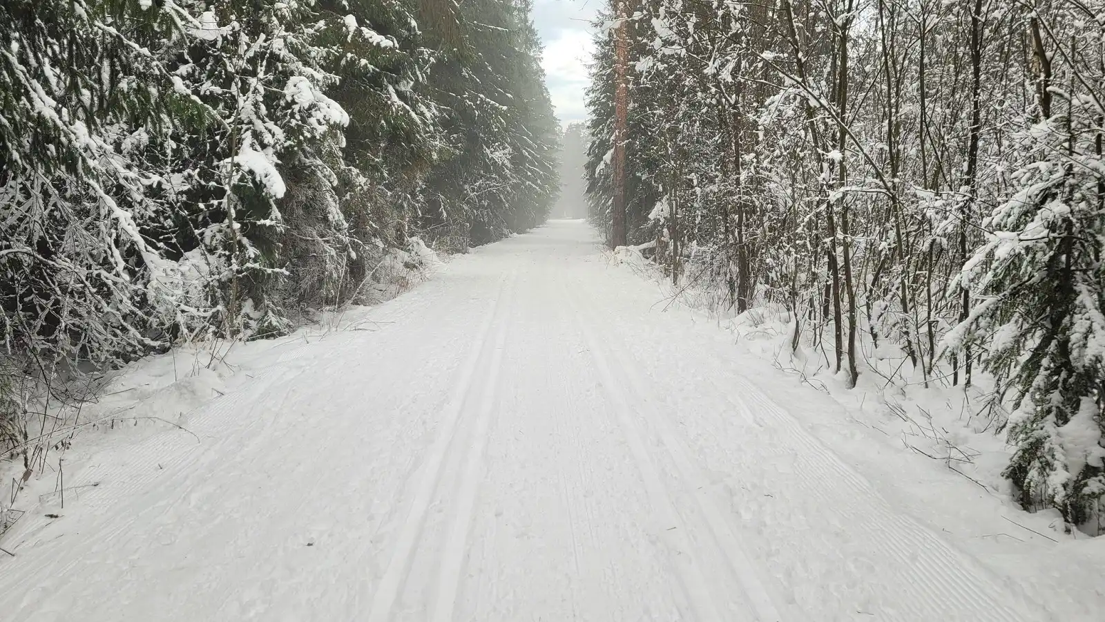 Śnieg znika z Podhala. Gdzie jeszcze można pojeździć na nartach biegowych?