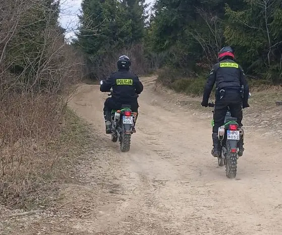 Mandaty na szlakach. Policja nie odpuszcza kierowcom w lasach