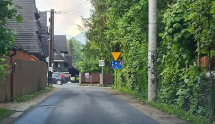 Urząd Miasta Zakopane apeluje o przycinanie gałęzi przy drogach