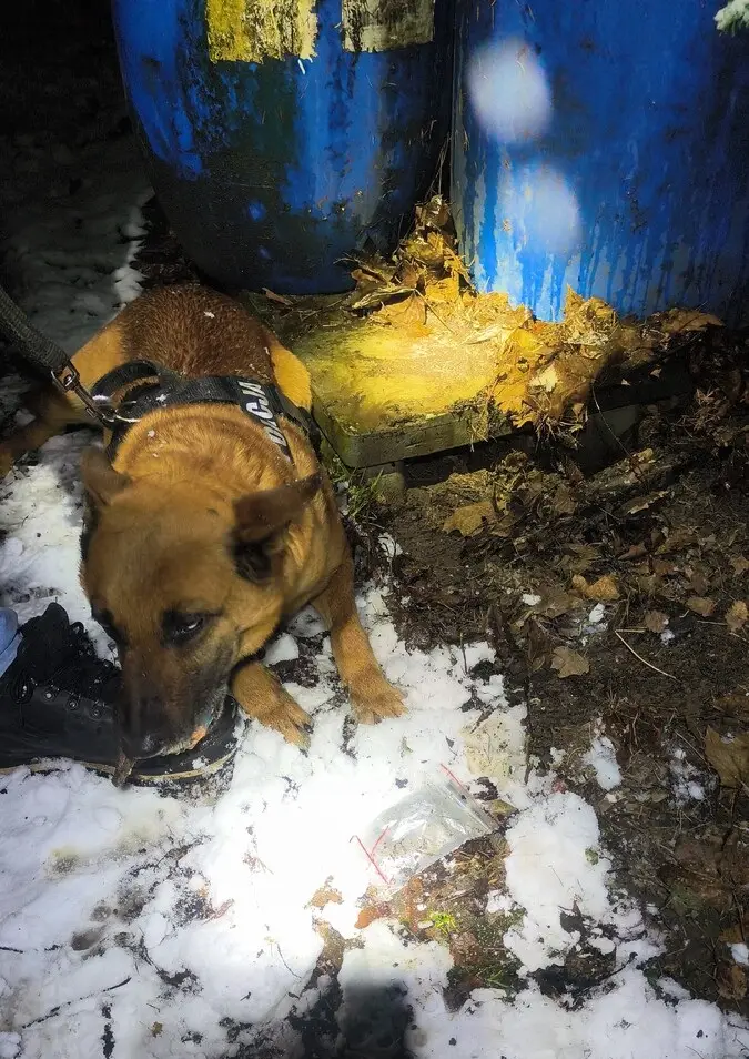 Wpadł w ręce policji. 33-latek podejrzany o handel substancjami psychotropowymi