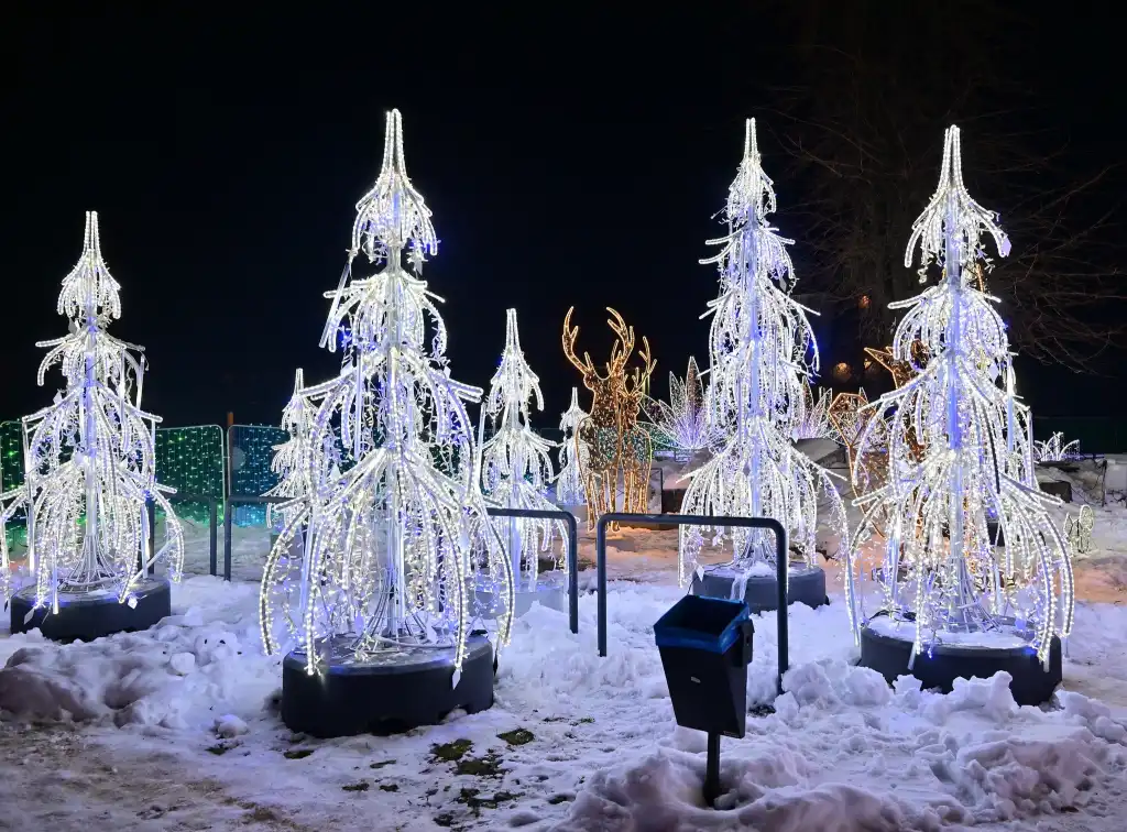 Zima ruszyła na dobre. Zakopane świętuje inaugurację sezonu