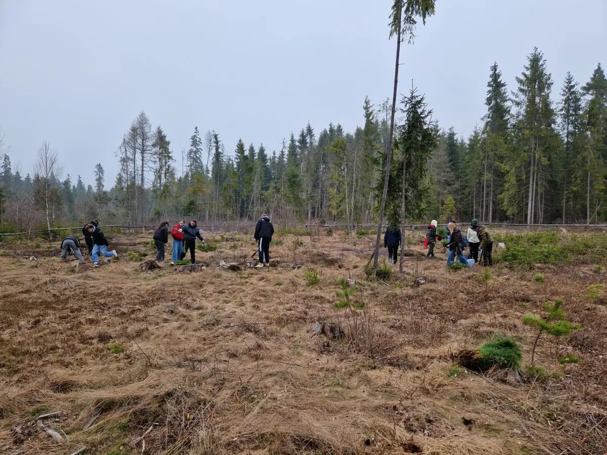 Uczniowie z Czarnego Dunajca ruszyli do lasu. Posadzili drzewa na Baligówce