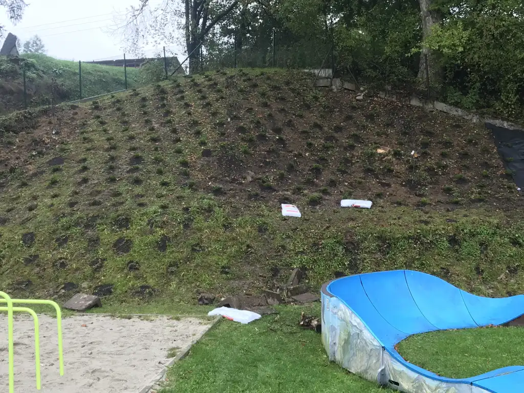 Gmina Poronin stawia na zieleń. Rusza ekologiczny projekt rewitalizacji przestrzeni publicznej