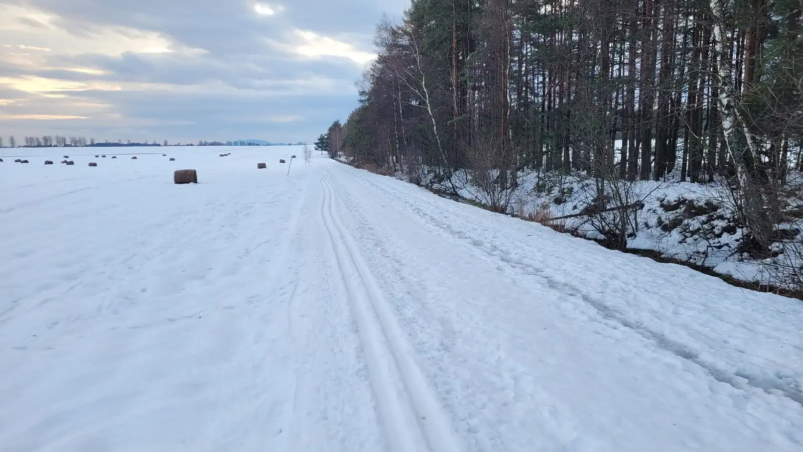 Śnieg znika z Podhala. Gdzie jeszcze można pojeździć na nartach biegowych?