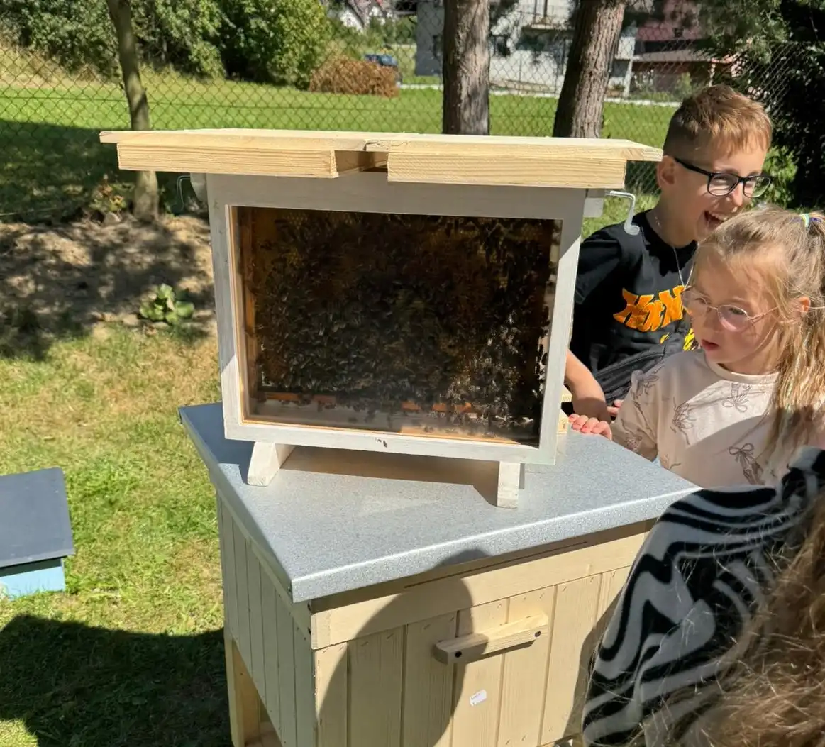 Łąka dla pszczół i drzewa dla przyszłości. Edukacyjne warsztaty w Kluszkowcach