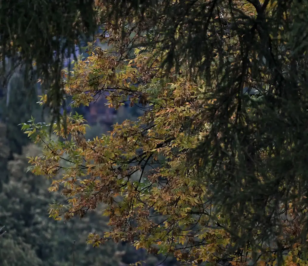 Zakopane pełne wydarzeń: sport, edukacja i tradycja