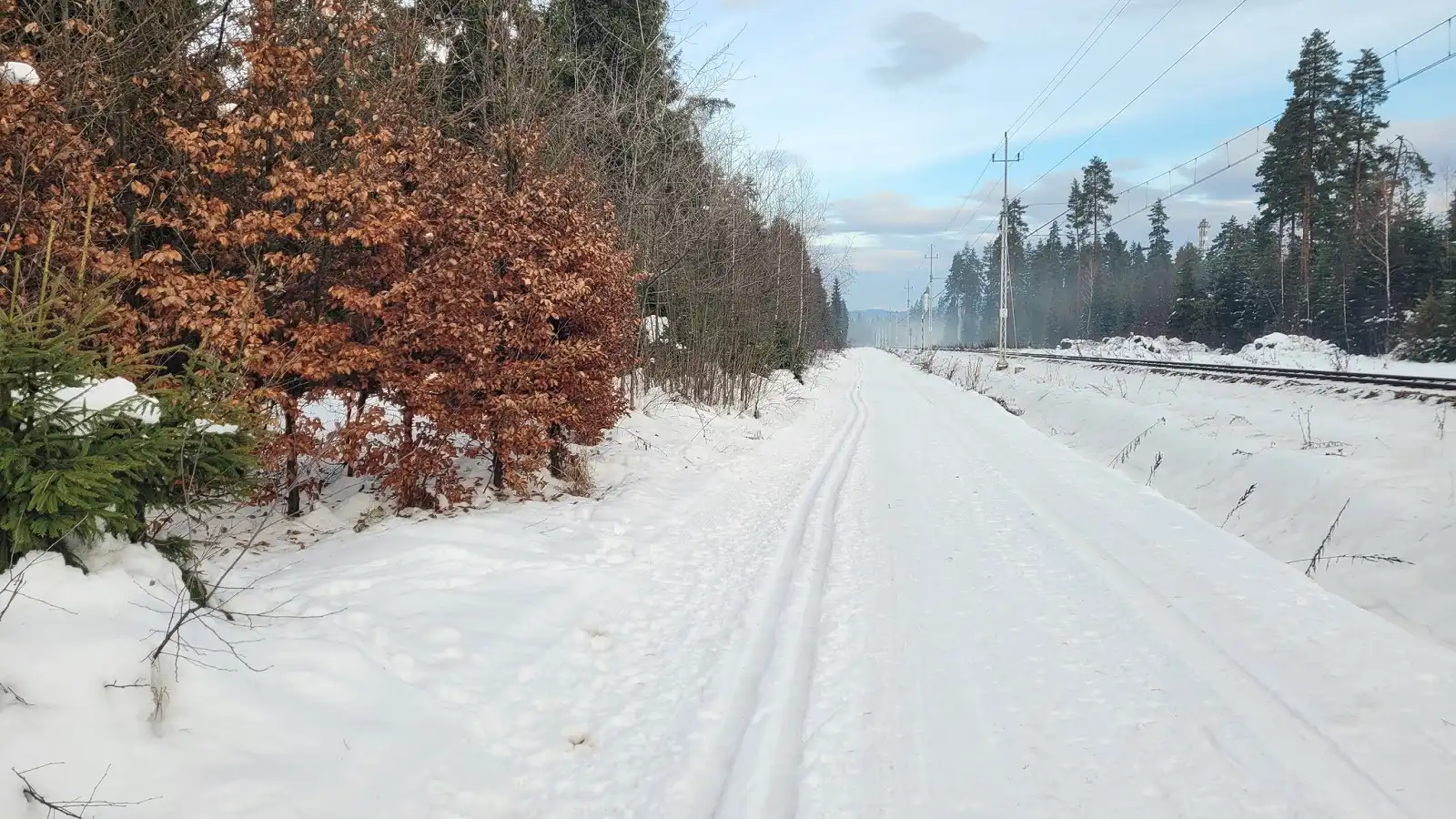 Śnieg znika z Podhala. Gdzie jeszcze można pojeździć na nartach biegowych?