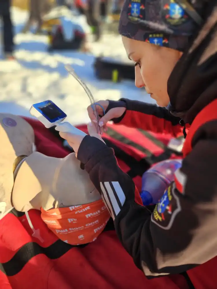 Każda sekunda ma znaczenie. Jak szkoli się ratowników w Zakopanem