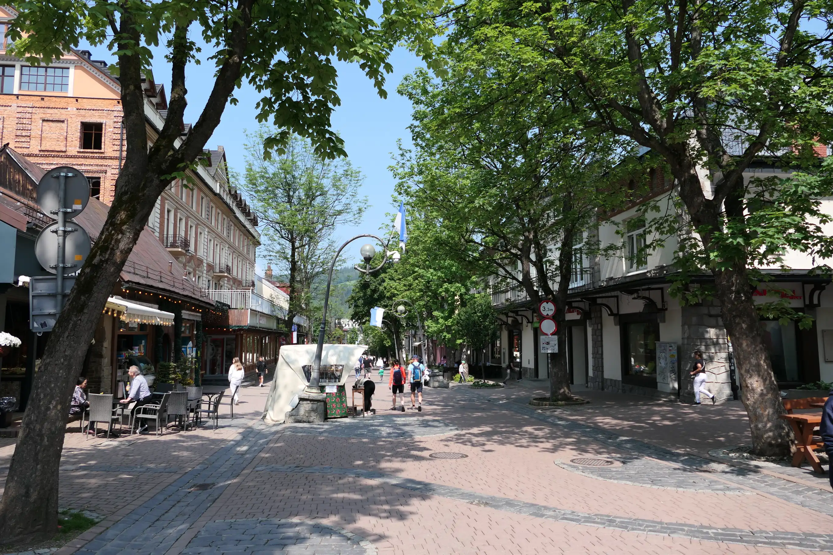 Jesień w Zakopanem. Kultura, sport i górskie emocje