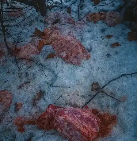 Sprawca porzucenia 130 kg mięsa w Szczawnicy zgłosił się do Straży Leśnej