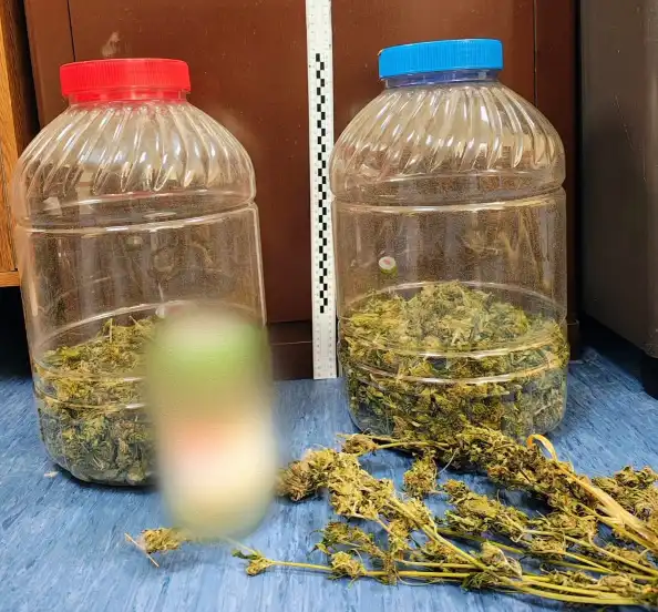 Policja uderza w narkobiznes. Zatrzymano 47-latka z Pacanowa