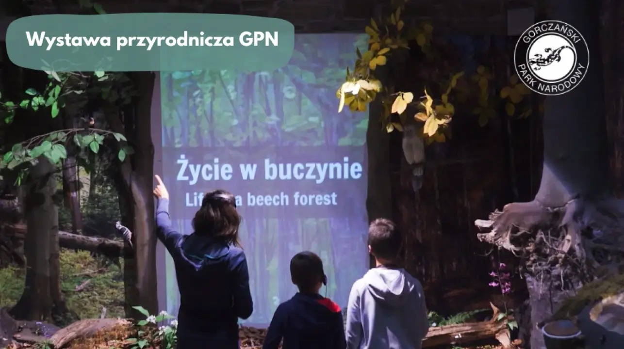 Ferie z naturą. Bezpłatna wystawa przyrodnicza czeka na odwiedzających GPN