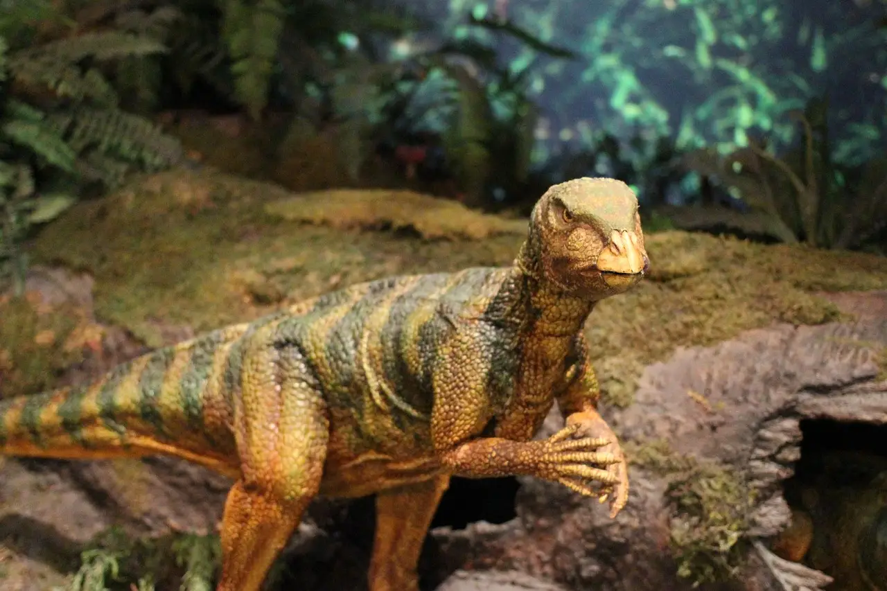 Dinozaury, warsztaty i multimedialne atrakcje. TPN zaprasza dzieci na wyjątkowy dzień