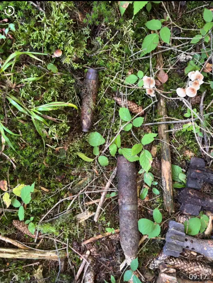 Niewybuchy w Lipnicy Wielkiej. W lesie odkryto pociski z II wojny światowej