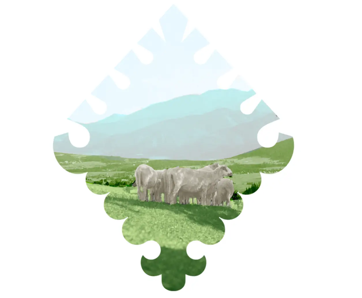 Maj pełen wydarzeń w Muzeum Tatrzańskim. Bogaty program dla mieszkańców i turystów