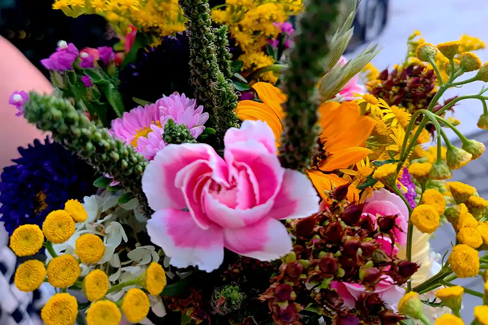 Tradycja i natura w jednym bukiecie. Rabka-Zdrój uczciła 15 sierpnia