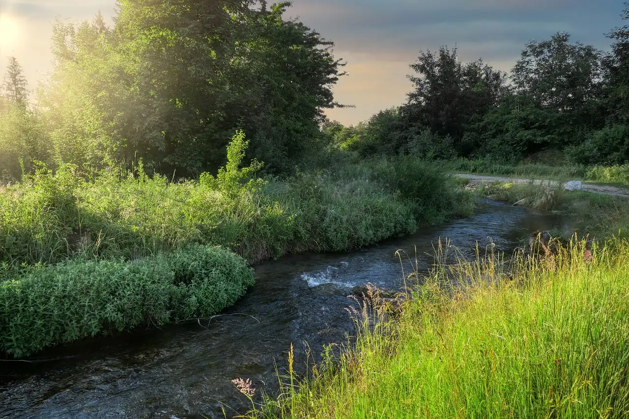 Gorce odzyskują swoje polany. Rusza odkrzaczanie w Ochotnicy Górnej