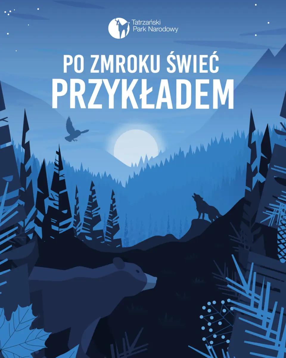 Dlaczego nie wolno chodzić nocą po Tatrach? Wyjaśnia TPN