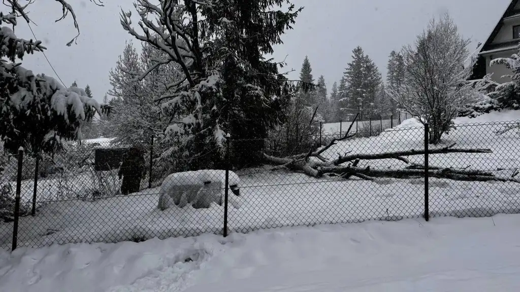 Strażacy z Poronina w akcji. Poranek z uszkodzoną linią, wieczór z kolizją