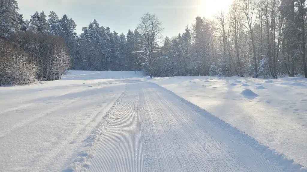Nowy Targ prosi o przerwę na trasach biegowych przy lotnisku