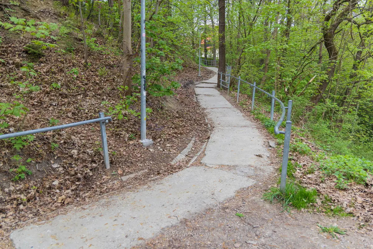 Niebezpieczne zejście do lodowiska przejdzie modernizację