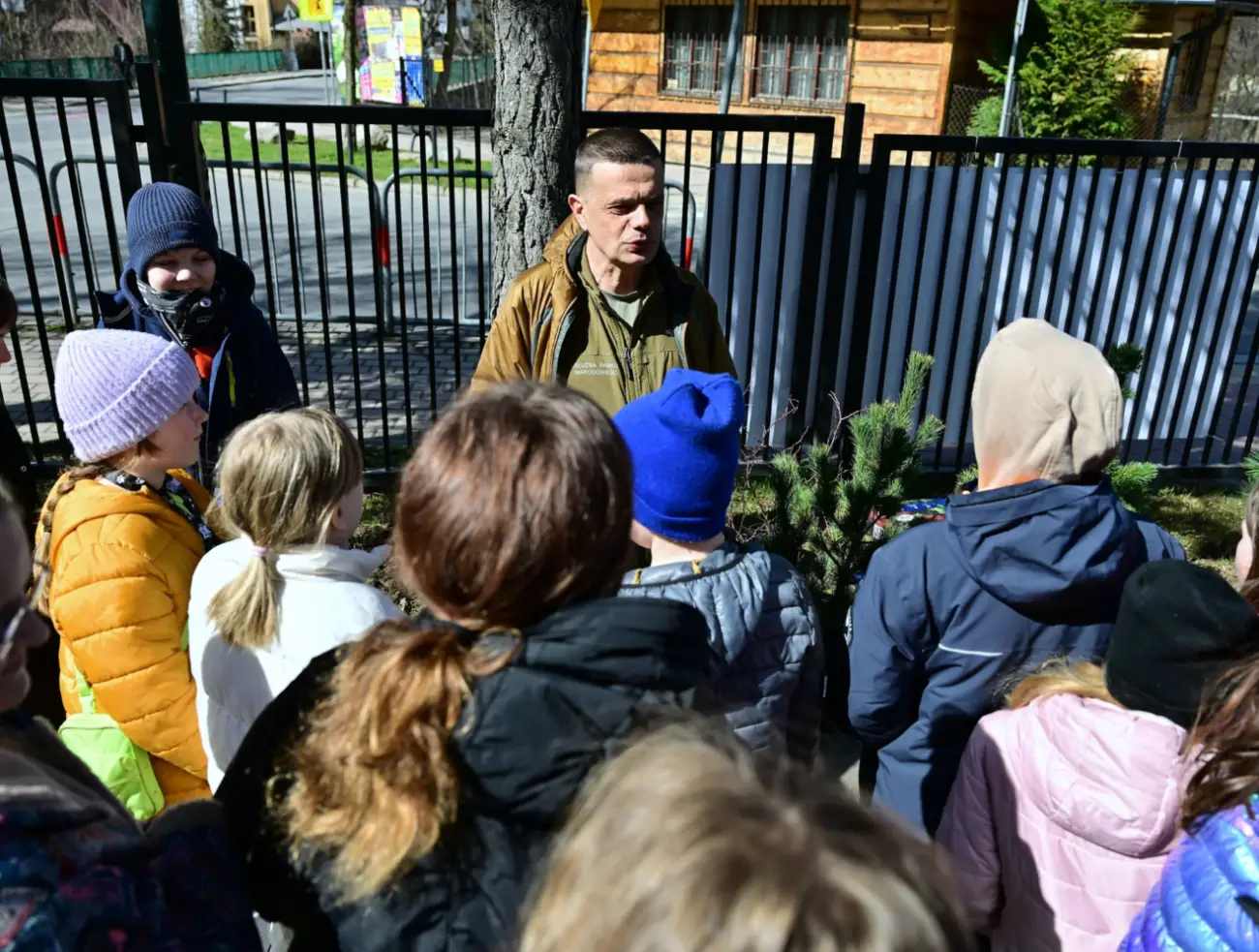 Zakopane sadzi przyszłość. Rodzime gatunki wracają na miejskie tereny