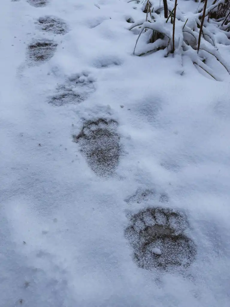 Zapada zmrok, rośnie ryzyko. TPN przypomina o zasadach bezpiecznego wędrowania