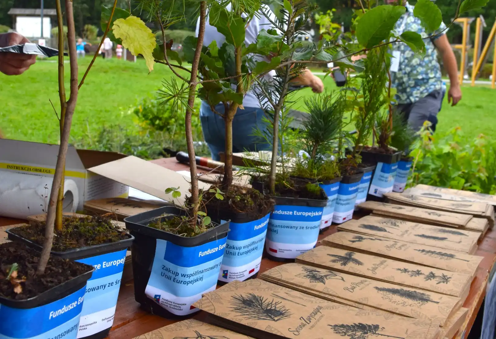 Jesienna akcja sadzenia drzew i krzewów odbierz rośliny za kupon z PSZOK