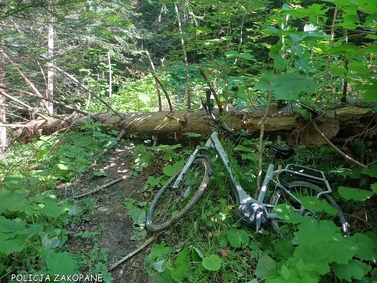 Nawigacja powadziła ich na manowce. Seniorzy z Holandii i porzucone w lesie rowery.