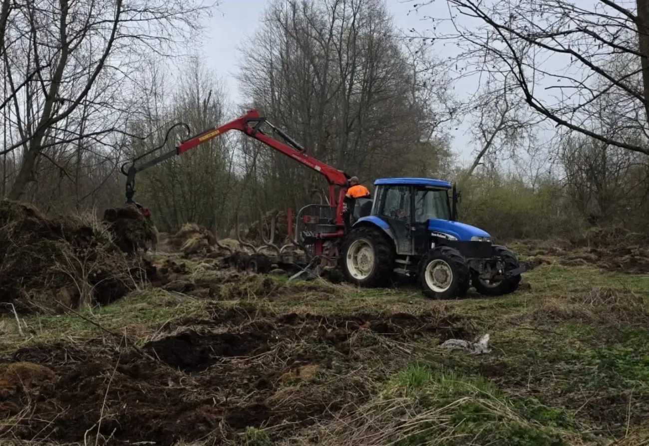 Wróblówka odzyskuje swój leśny charakter, jeszcze niedawno leżały tam bale siana. Dziś rośnie młody las