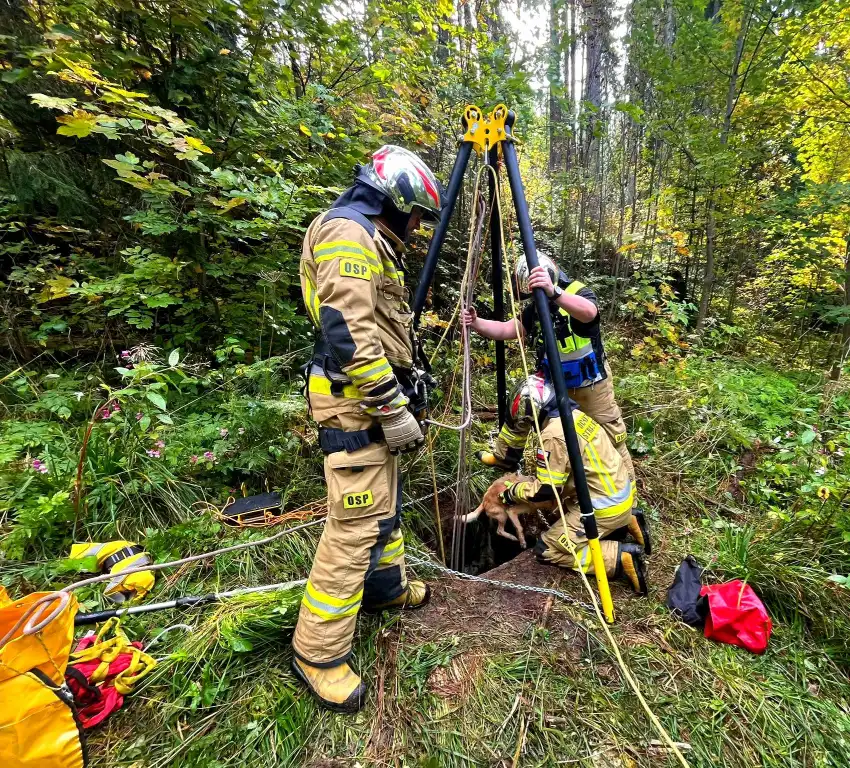 Akcja straży w Pitoniówce. Pies uwięziony w studzience