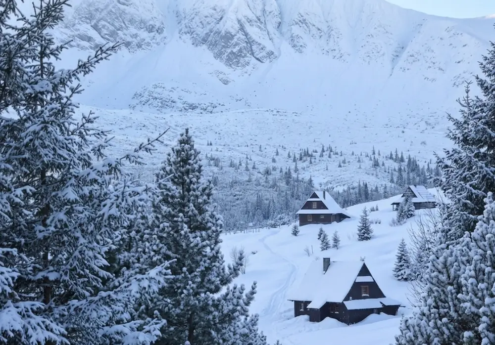 Zakopane: Miały być poidła dla koni a były budynki mieszkalne. 50-latek stanie przed sądem