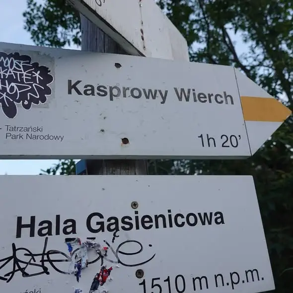 Kradną je ze szlaków i wieszają w domach. TPN mówi wprost: „To wstyd”