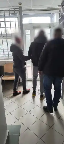 Policja przejęła marihuanę, mefedron i 26 krzewów konopi. Trzy osoby zatrzymane