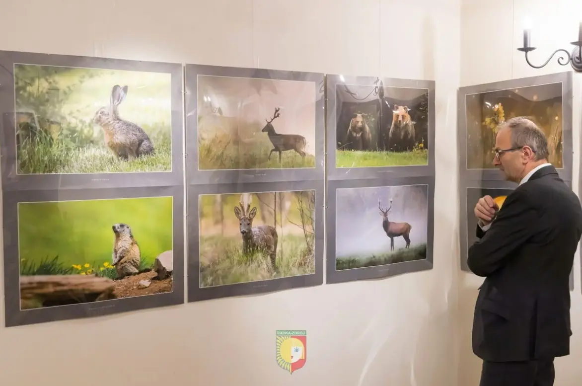 Piękno i emocje dzikiej przyrody na wystawie w Rabce-Zdroju