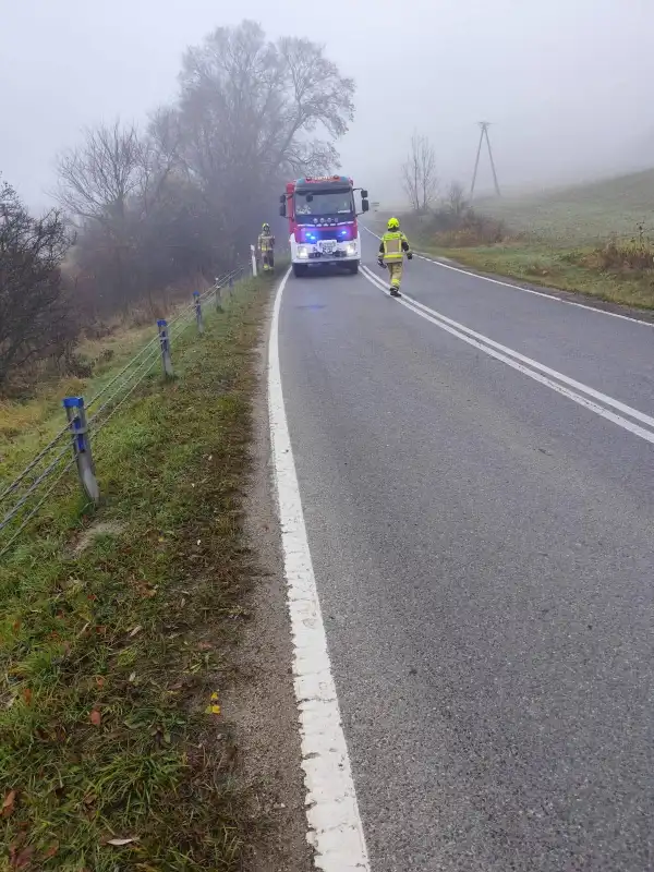 Falsztyn: Samochód uderzył w barierki, strażacy interweniowali