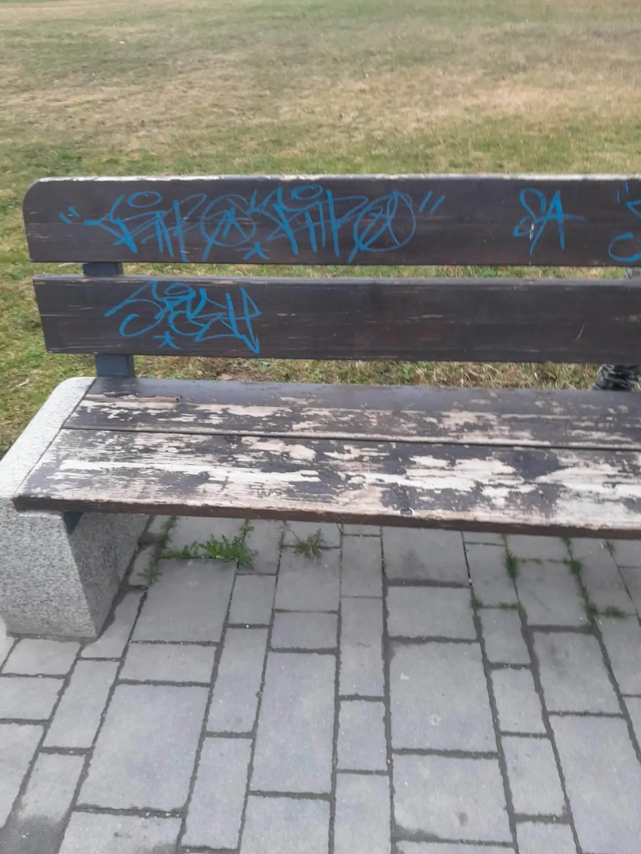 Tak wyglądają miejskie ławki w Zakopanem. Graffiti, zniszczenia i spróchniałe drewno