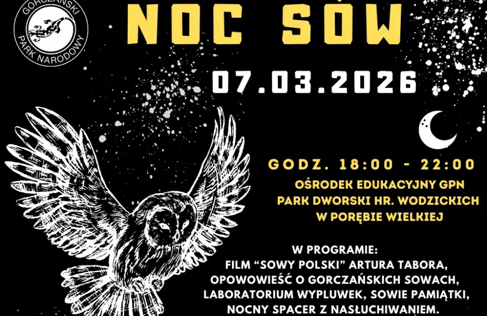 Noc z sowami w Gorcach. Park zaprasza na wyjątkowe spotkanie