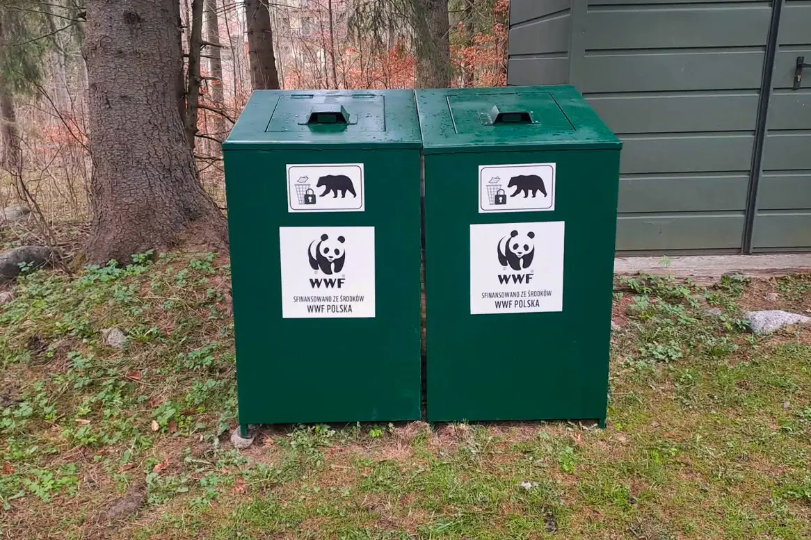 Niedźwiedzie bez dostępu do odpadów. Zakopane wprowadza zmiany