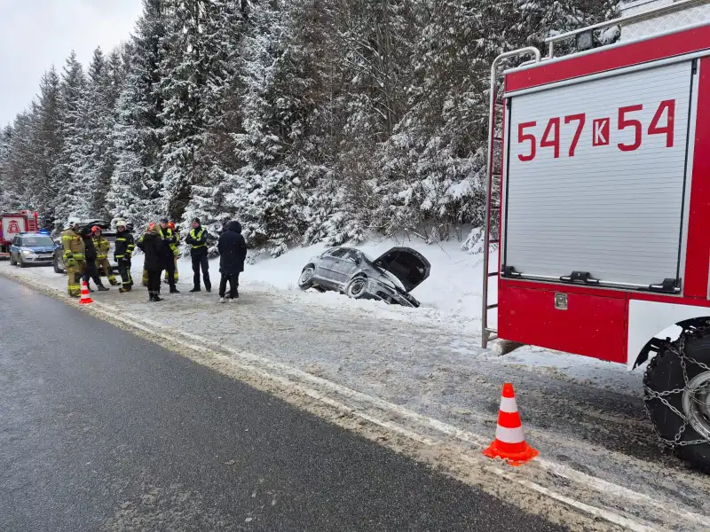 Interwencja służb na DK49. Samochód wypadł z drogi