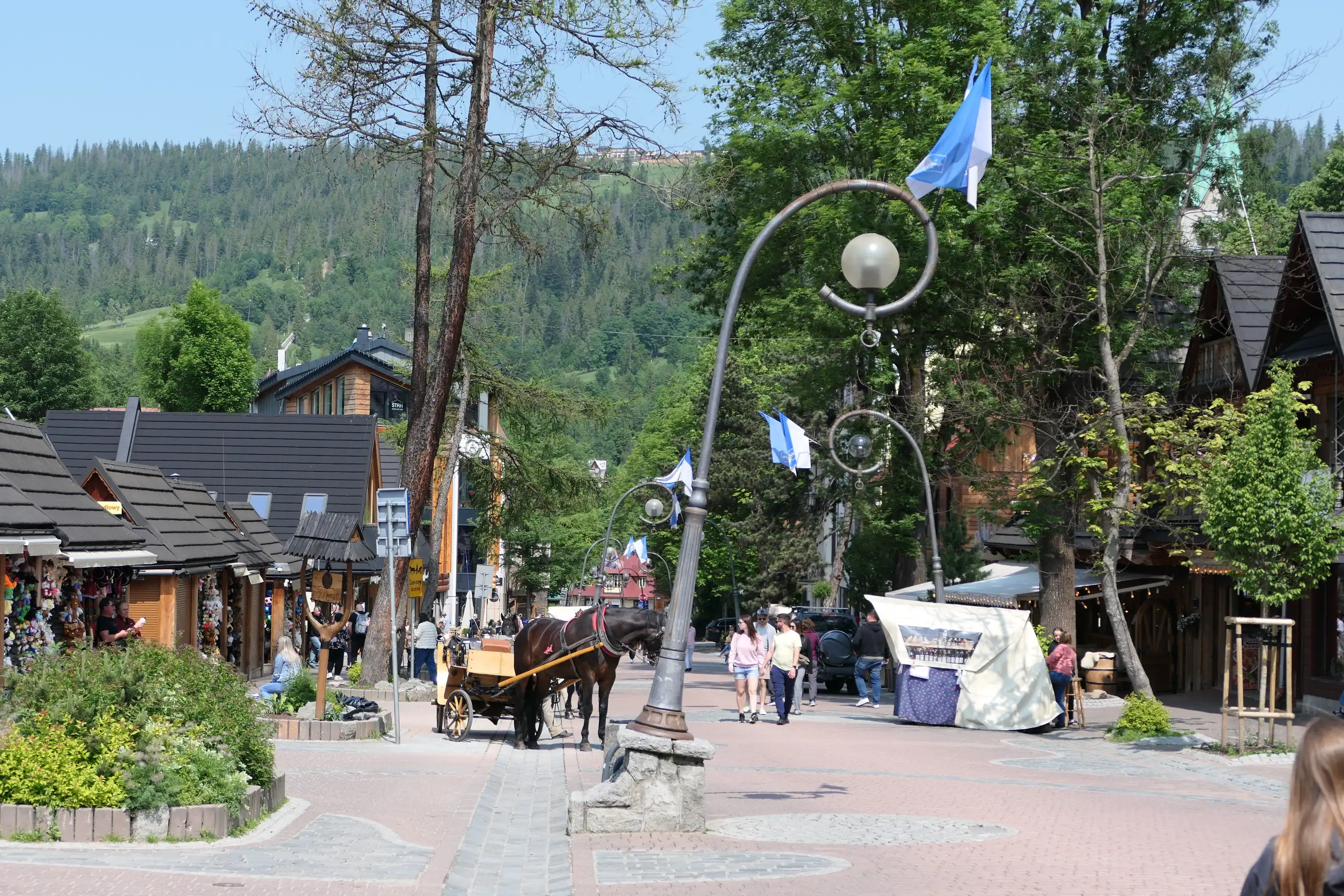 Zakopane pyta mieszkańców gdzie staną rzeźby Henryka Burzca
