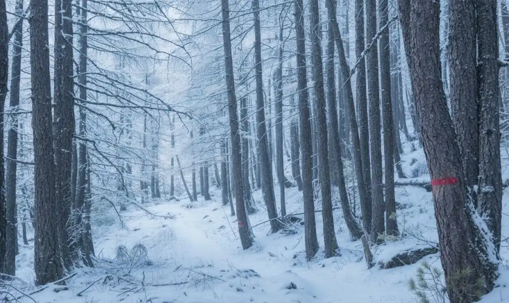 Trzy tatrzańskie szlaki zamknięte na zimę. TPN przypomina o zimowych ograniczeniach