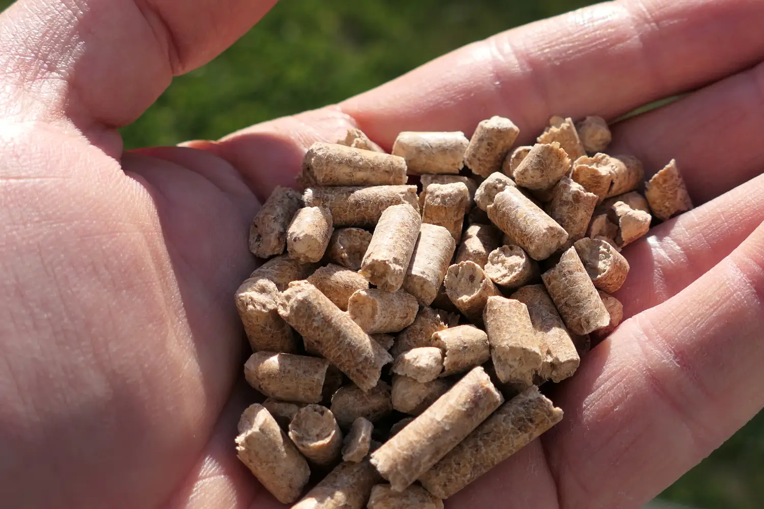 Zima coraz bliżej, a pellet drożeje. UOKiK sprawdził, co się dzieje i podał powód, to nie zmowach cenowa