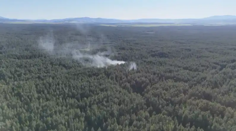 Pożar lasu między Podczerwonem a Jabłonką. Służby apelują o ostrożność i ograniczenie ruchu w rejonie torfowisk