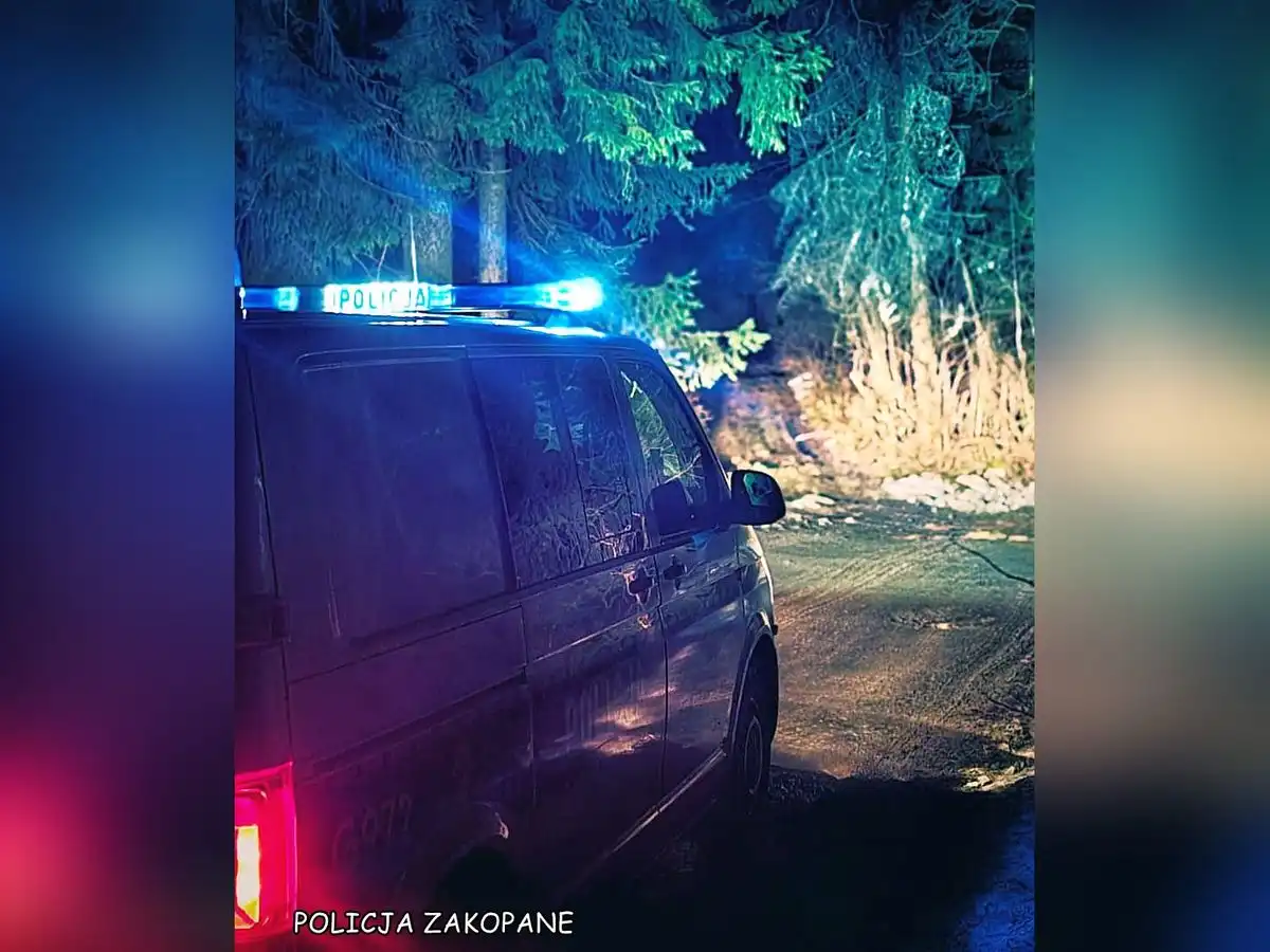 Kupujesz choinkę? Upewnij się, że pochodzi z legalnego źródła