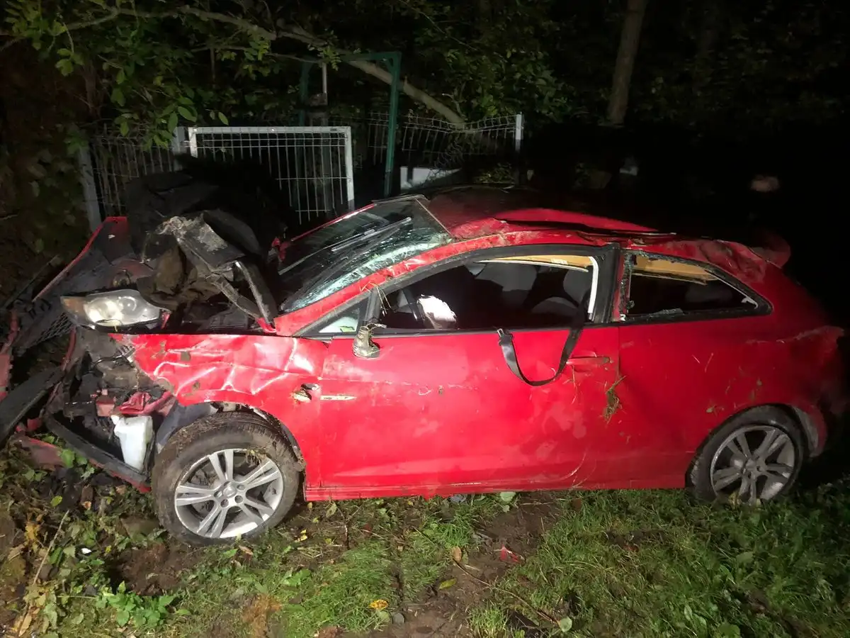 Nietrzeźwy kierowca w rowie, tłumaczył się… zwierzęciem