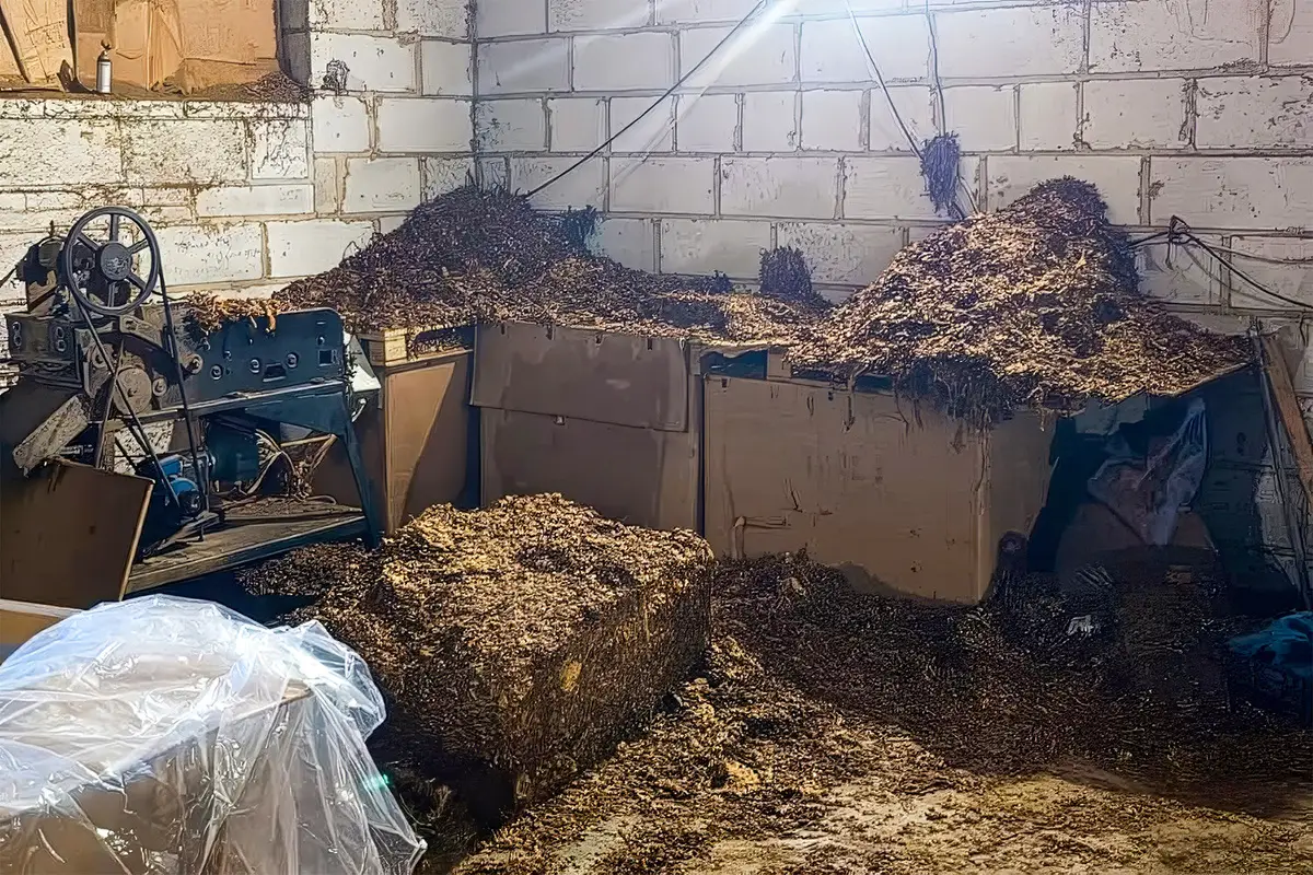 Ponad 7 ton tytoniu w jednej hali. Straż Graniczna i CBŚP zlikwidowały nielegalną krajalnię